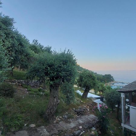 Dionysos Hotel Skala Potamia  Buitenkant foto